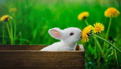 爱游戏全站app注册-“足球智者”：某某教练解读战术变革心得，足球技战术训练全书