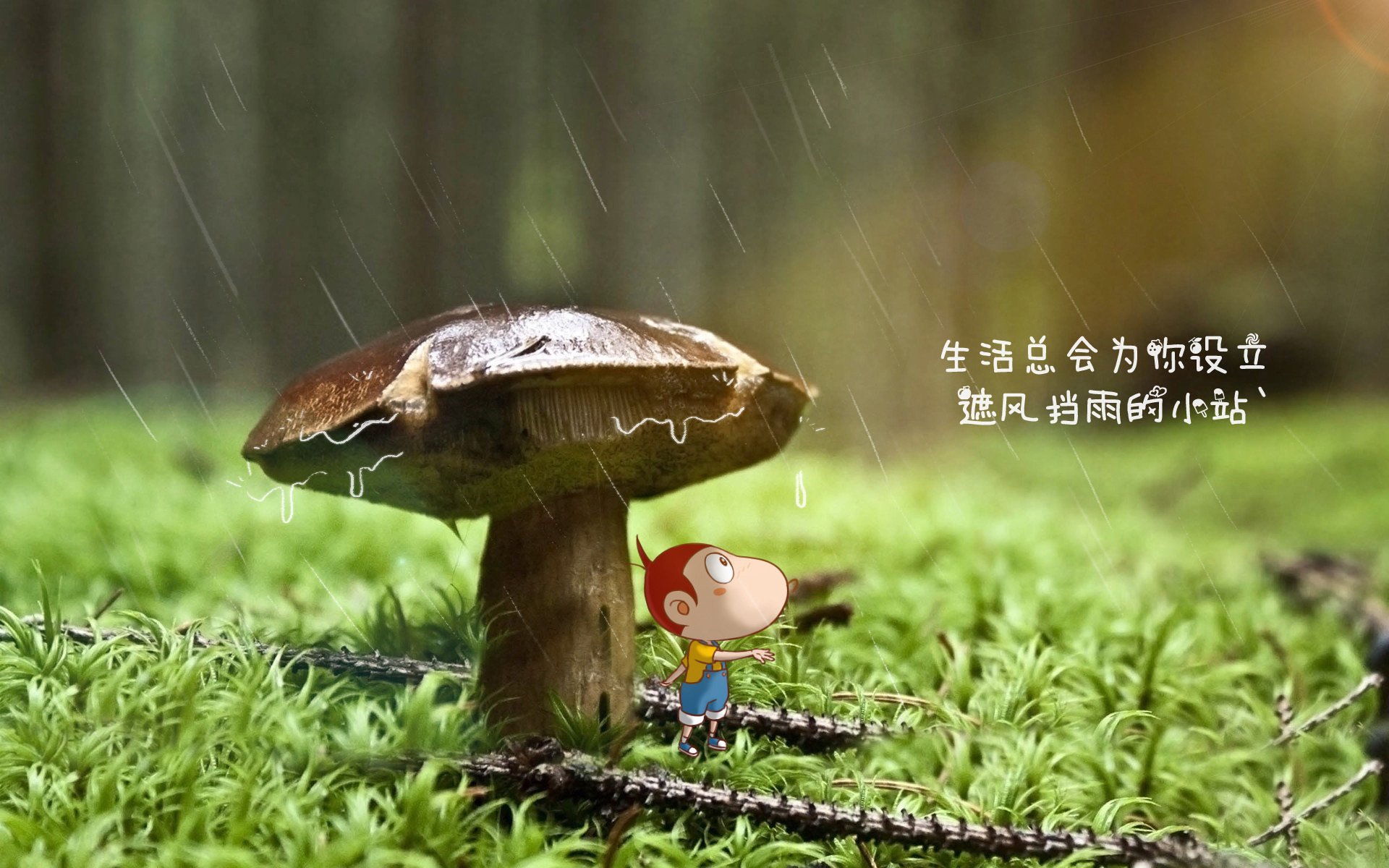 “青少年足球创新项目在全国范围内全面推广”，2020青少年足球比赛