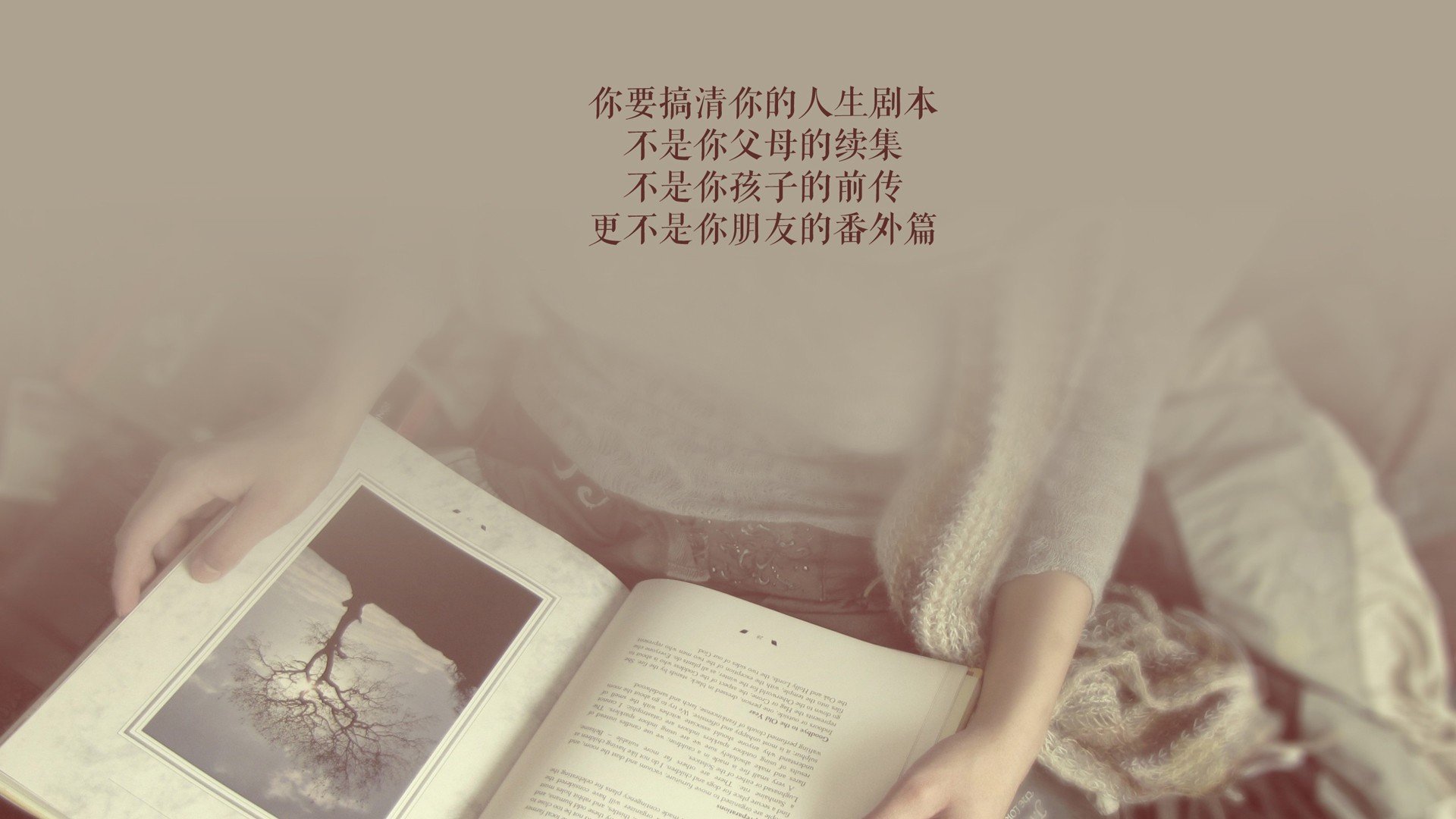 赛季末期，哪些球队跻身季后赛？，季后赛球队排名