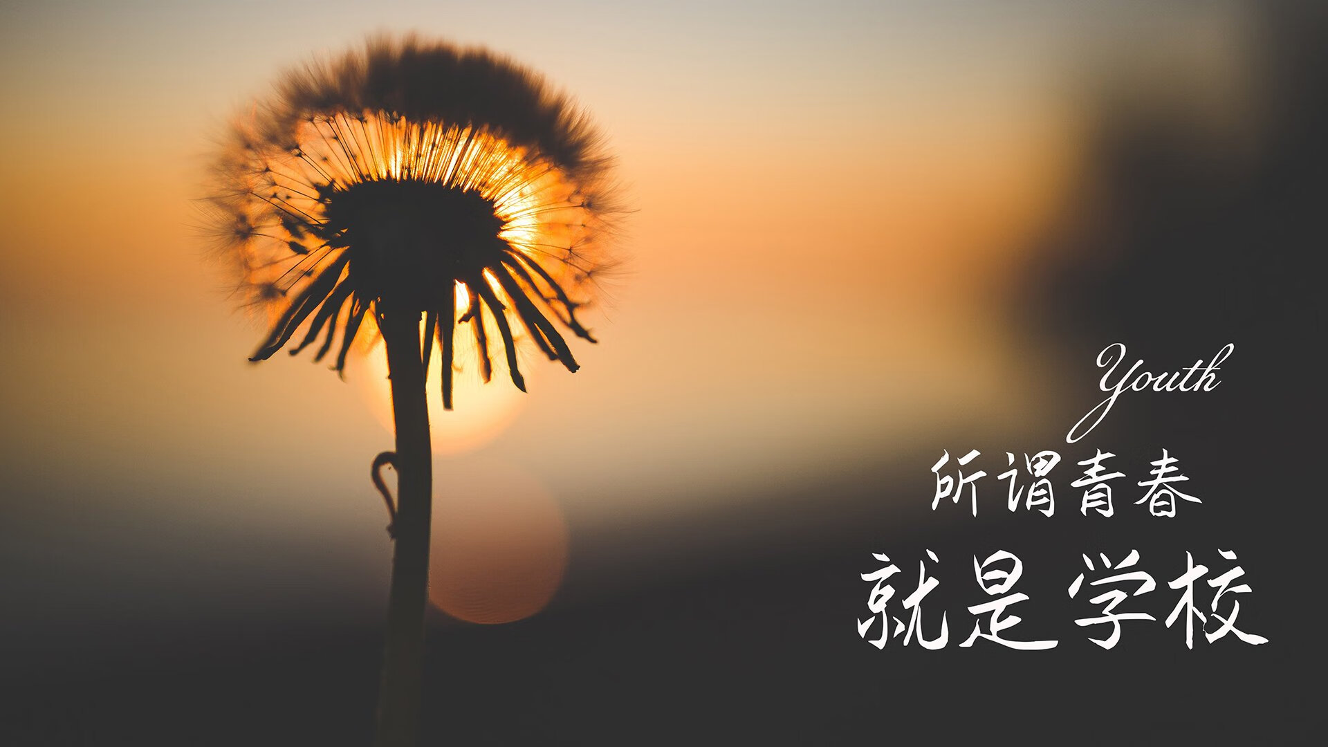巴萨再胜，梅西连场破门，势不可挡，巴萨宣布梅西