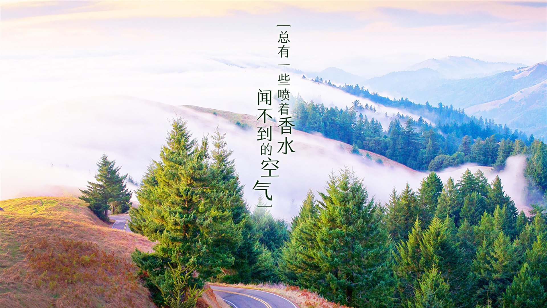 电竞城市打造全方位电竞生态圈，电竞城市是什么意思