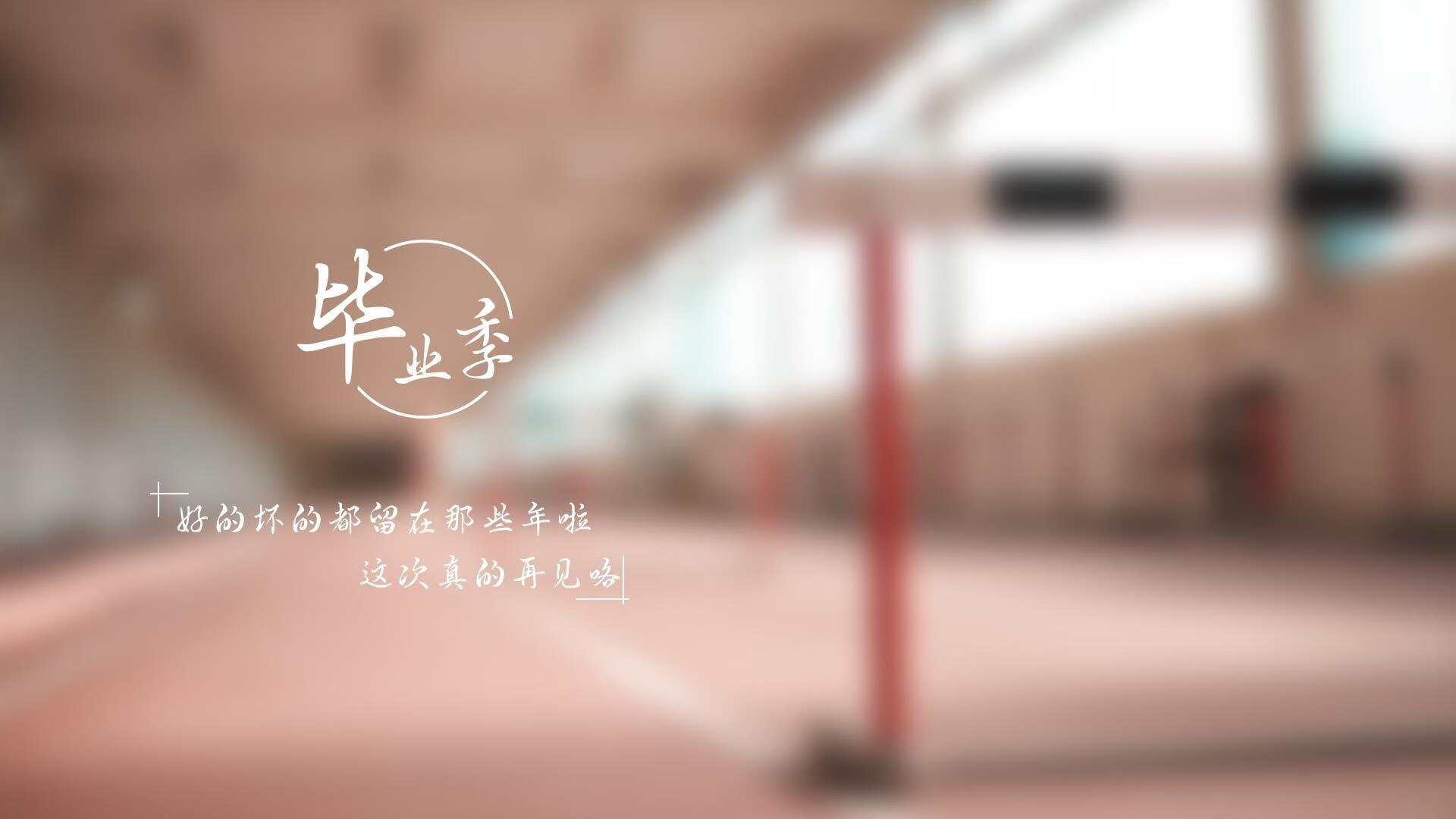 科特迪瓦女篮在非洲锦标赛中夺冠，体育实力节节攀升，科特迪瓦1_0南非