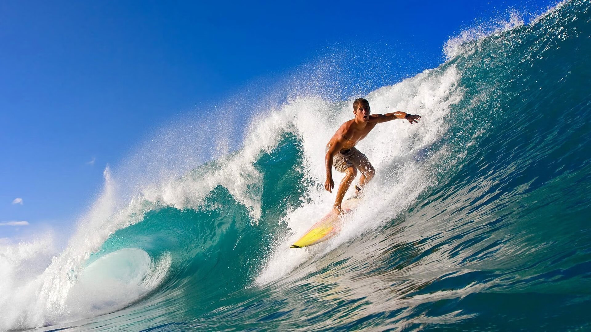 “德甲豪门纷纷发力，追逐联赛冠军”，德甲曾经的豪门